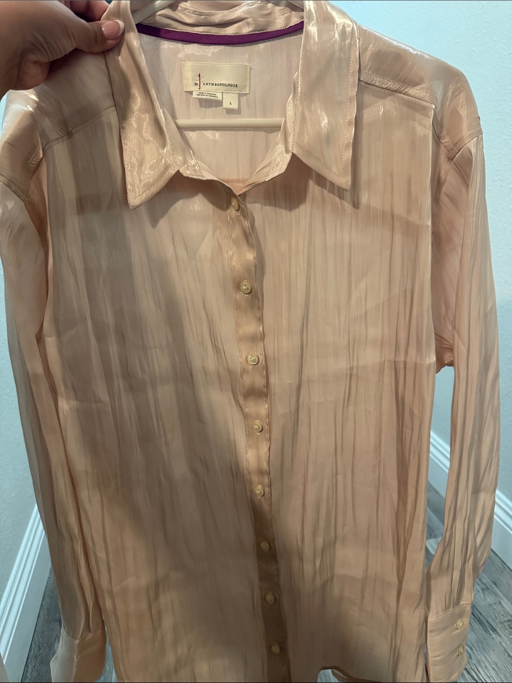 Anthropologie Blush Sheer Striped Button-Up Shirt